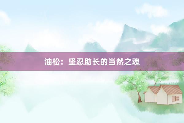油松：坚忍助长的当然之魂
