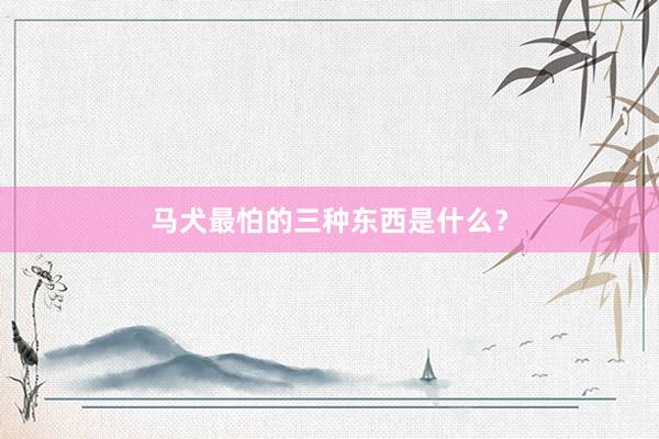 马犬最怕的三种东西是什么？
