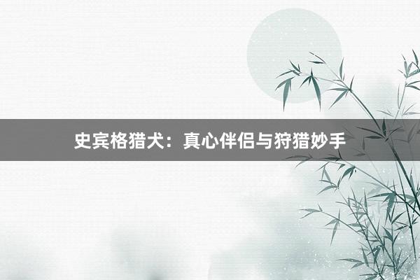 史宾格猎犬：真心伴侣与狩猎妙手