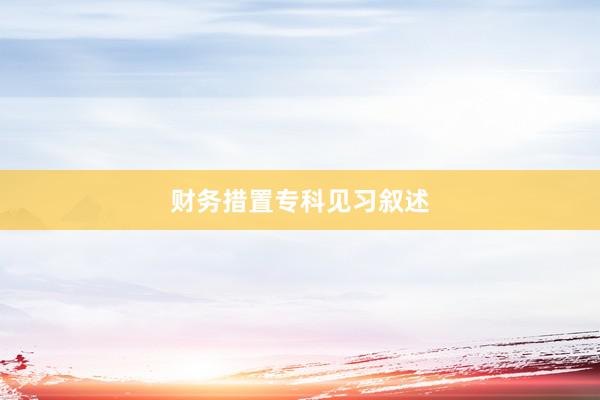 财务措置专科见习叙述