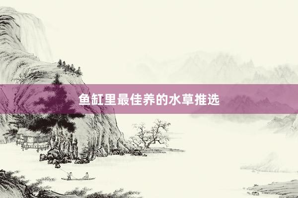 鱼缸里最佳养的水草推选