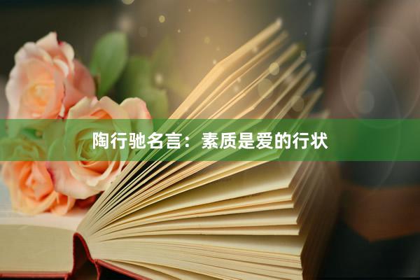 陶行驰名言：素质是爱的行状